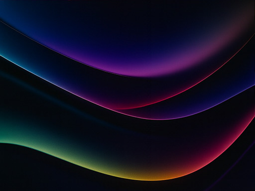 극한 감각 체험